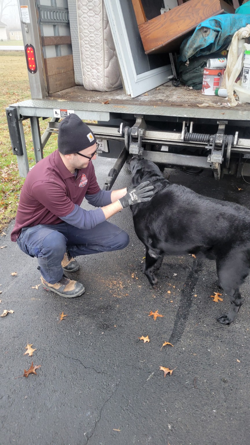 A friendly dog greeting the Big Barn crew during a junk removal job